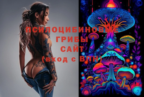 стафф Горно-Алтайск